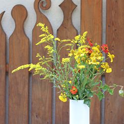 Blumen Waldorfkindergarten Dieringhausen